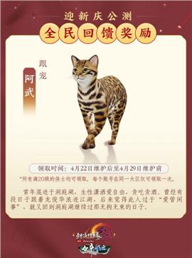 大闹天龙八部私服